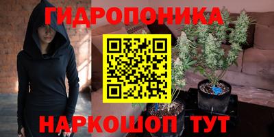 a pvp Дубна