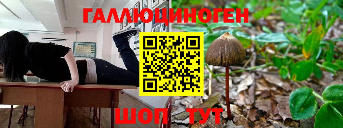 Галлюциногенные грибы GOLDEN TEACHER Мыски
