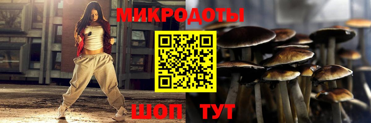 Псилоцибиновые грибы мухоморы  Галлюциногенные грибы мицелий  Вход с VPN  даркнет сайт  Мыски 